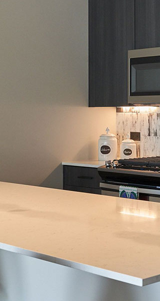 N Ada Residence, Chicago